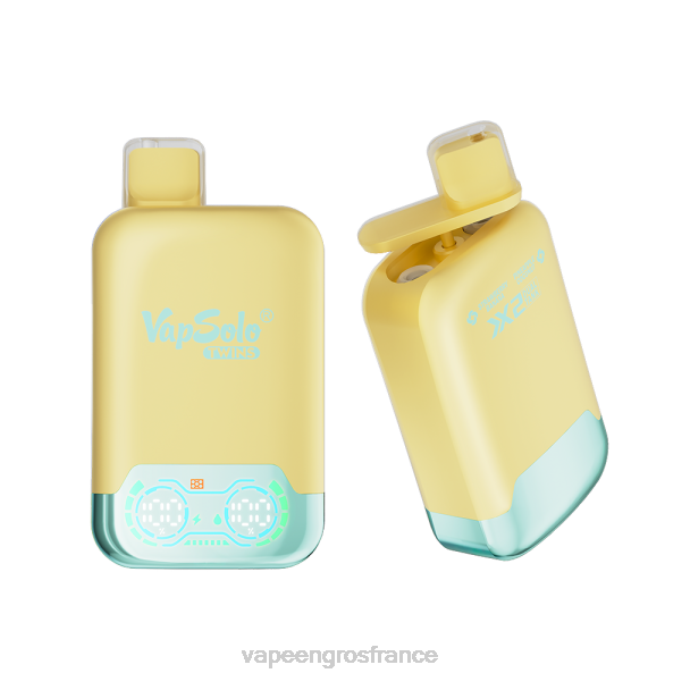 Eliquide En Gros LZ6J125 Vapsolo TWINS vape jetable ananas noix de coco & fraise banane