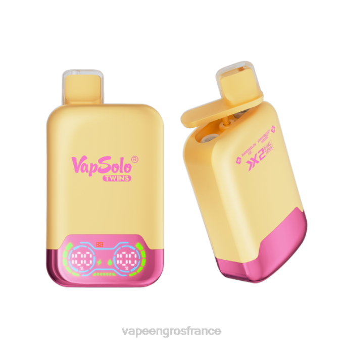 Eliquide France LZ6J129 Vapsolo TWINS vape jetable glace pastèque & fraise mangue