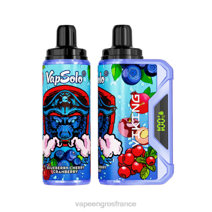 Cigarette Electronique En Gros LZ6J131 Vapsolo VIKING vape jetable myrtille cerise canneberge