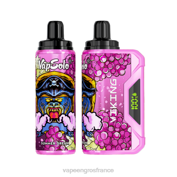 Vape En Gros France LZ6J141 Vapsolo VIKING vape jetable rêve d'été