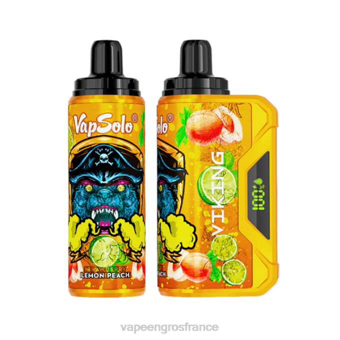 Vape France Paris LZ6J135 Vapsolo VIKING vape jetable pêche au citron