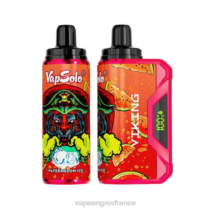 Vape France Paris LZ6J142 Vapsolo VIKING vape jetable glace à la pastèque
