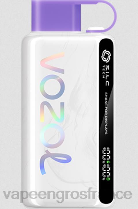 02JZ13 - Cigarette Electronique France glace aux raisins VOZOL STAR 9000/12000 5%