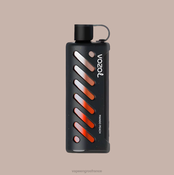 multi VOZOL engrenage chicha 25000 0XPR1 Vape En Gros France