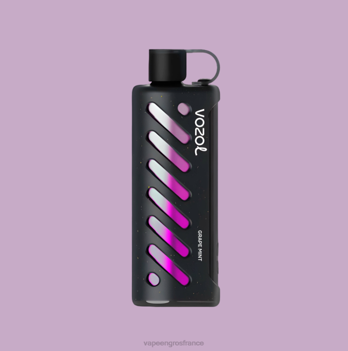 multi VOZOL engrenage chicha 25000 0XPR1 Vape En Gros France