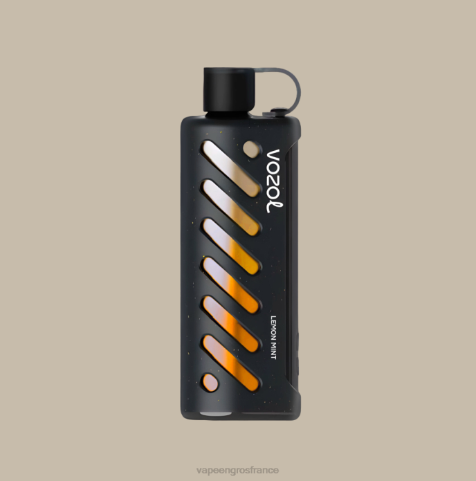 multi VOZOL engrenage chicha 25000 0XPR1 Vape En Gros France