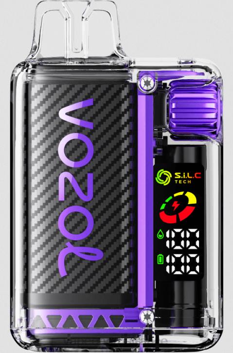 02JZ11 - Vape France Paris Baies mélangées VOZOL VISTA 16 000/20 000 5%